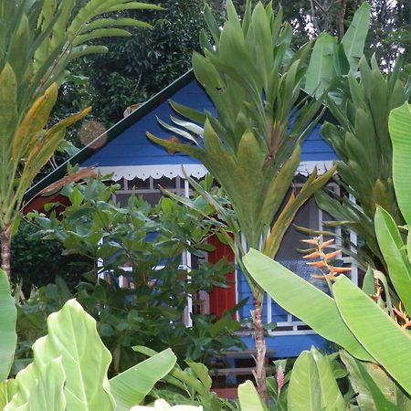 Puerto Viejo de Talamanca海上阳光旅馆别墅 外观 照片