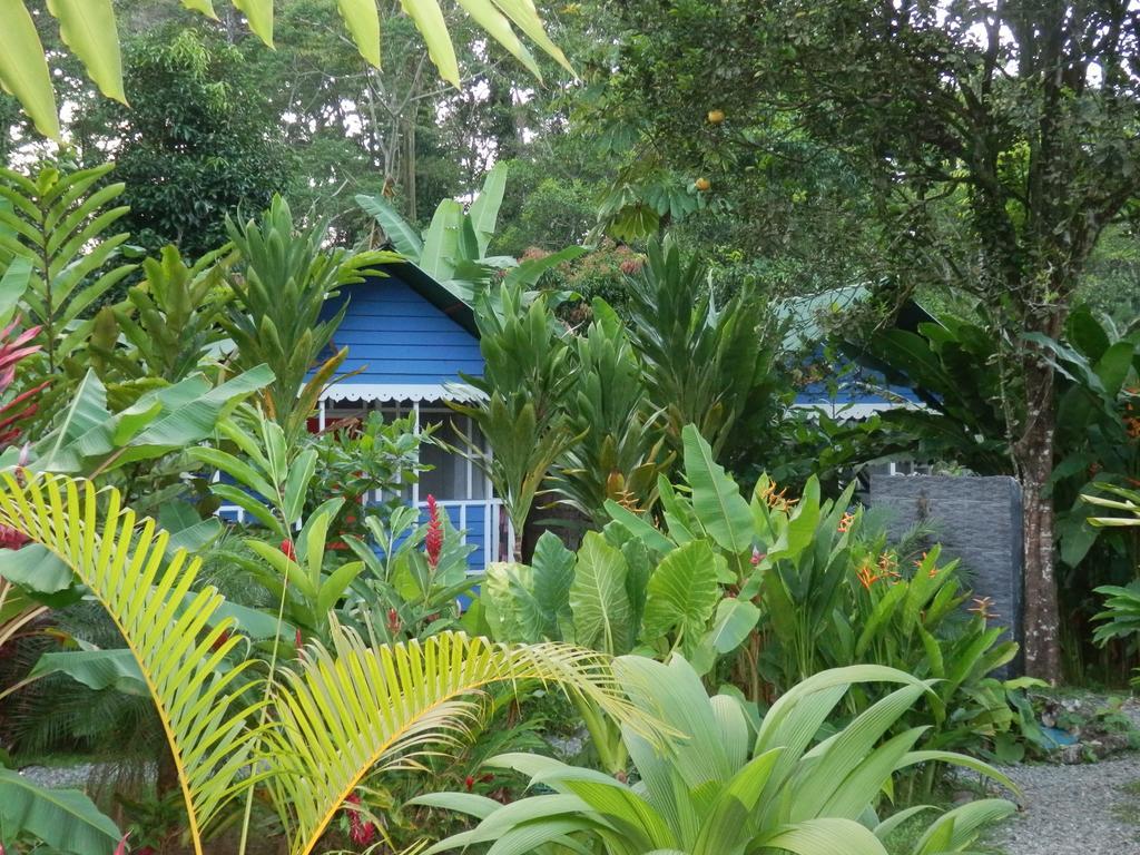 Puerto Viejo de Talamanca海上阳光旅馆别墅 外观 照片
