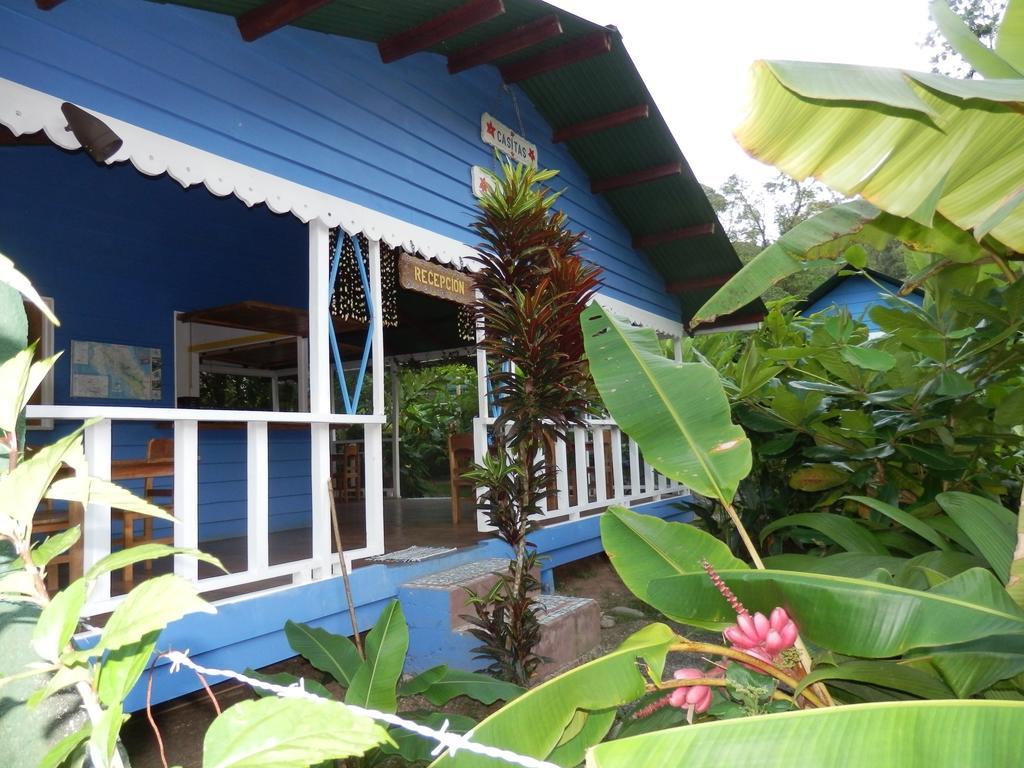 Puerto Viejo de Talamanca海上阳光旅馆别墅 外观 照片