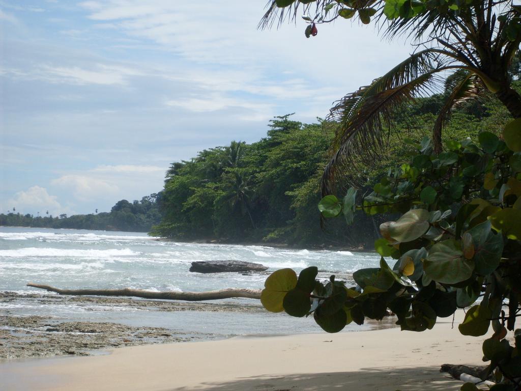 Puerto Viejo de Talamanca海上阳光旅馆别墅 外观 照片