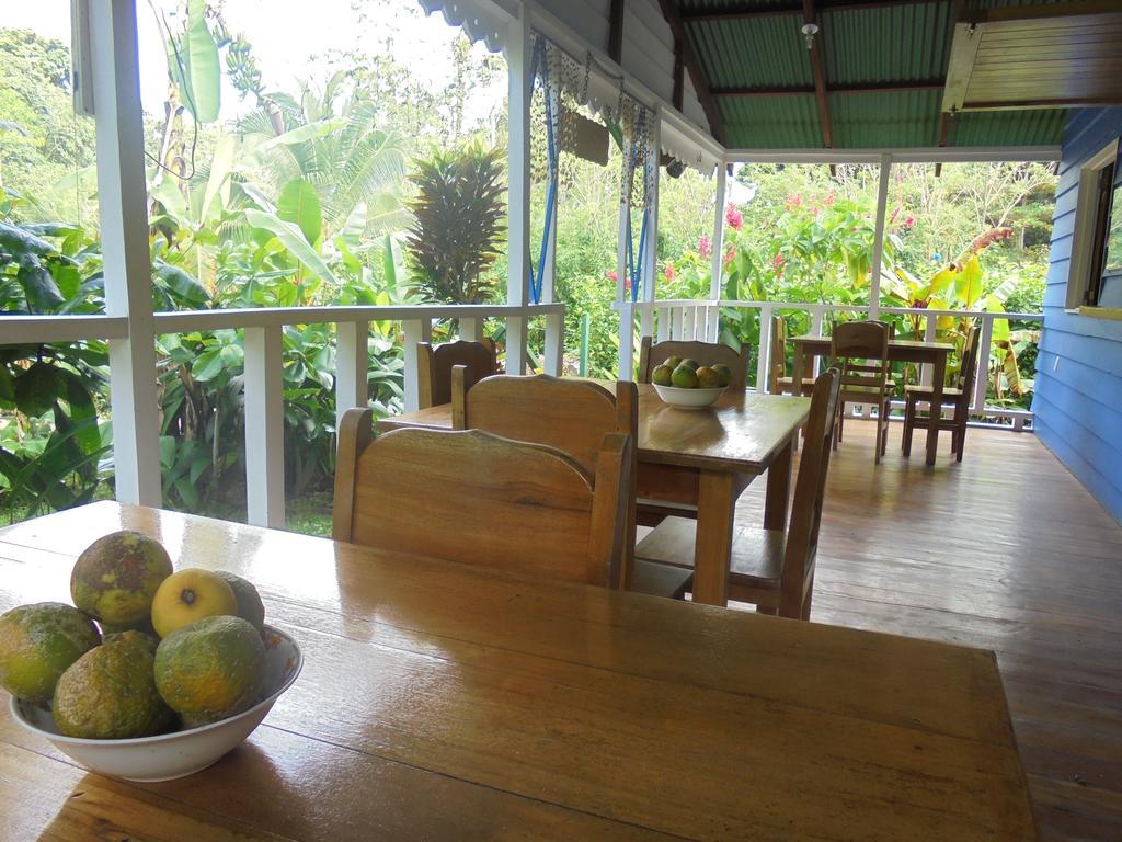 Puerto Viejo de Talamanca海上阳光旅馆别墅 外观 照片