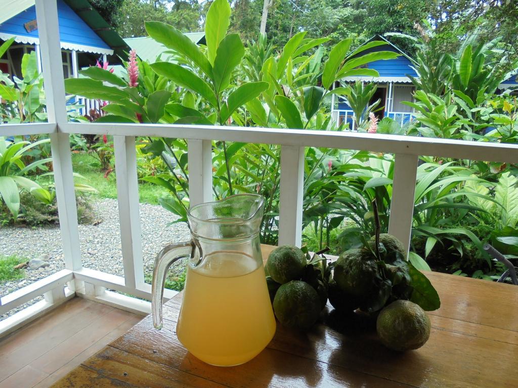Puerto Viejo de Talamanca海上阳光旅馆别墅 外观 照片