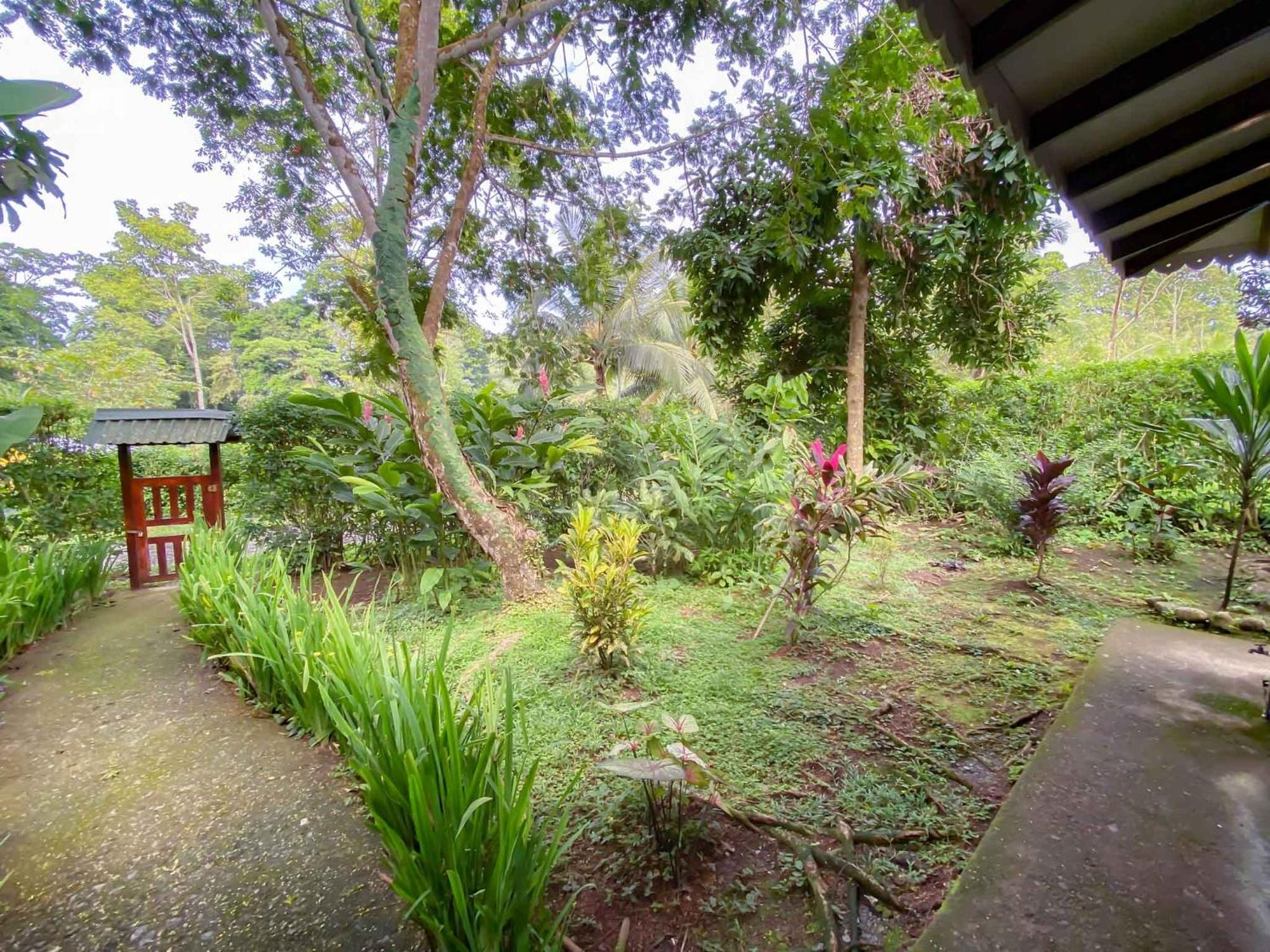 Puerto Viejo de Talamanca海上阳光旅馆别墅 客房 照片