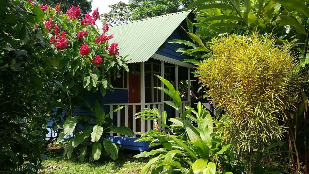 Puerto Viejo de Talamanca海上阳光旅馆别墅 客房 照片