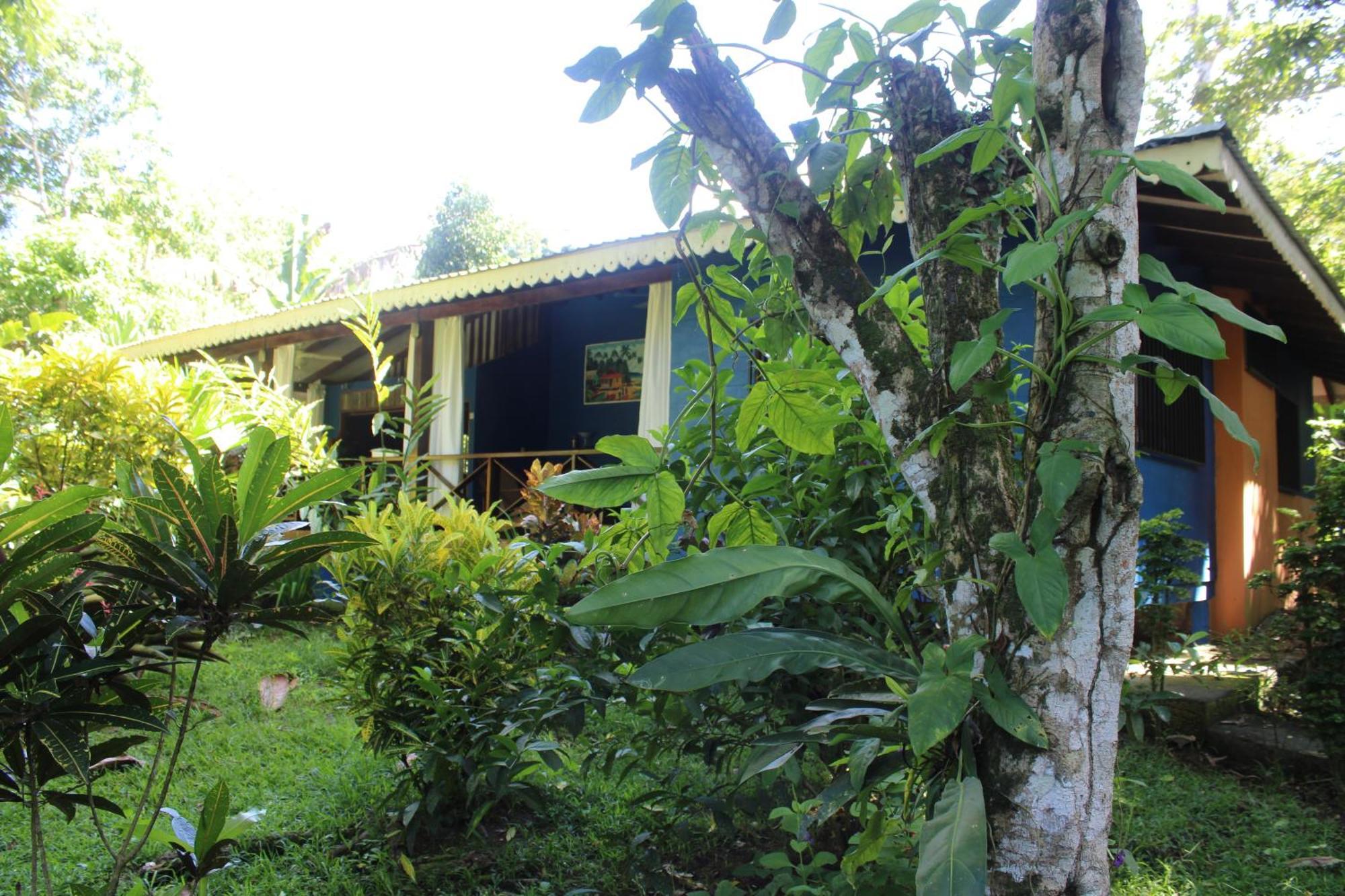 Puerto Viejo de Talamanca海上阳光旅馆别墅 外观 照片