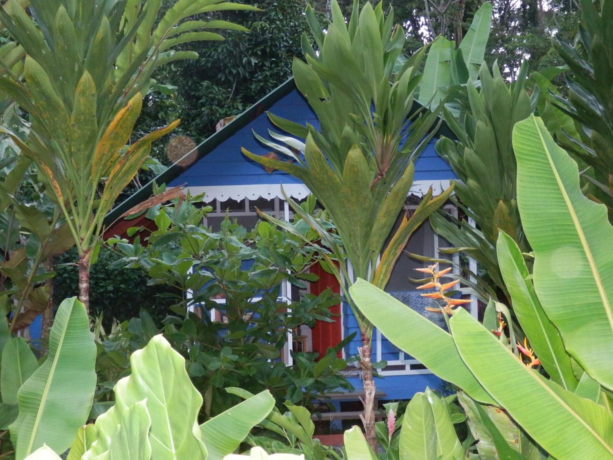 Puerto Viejo de Talamanca海上阳光旅馆别墅 外观 照片