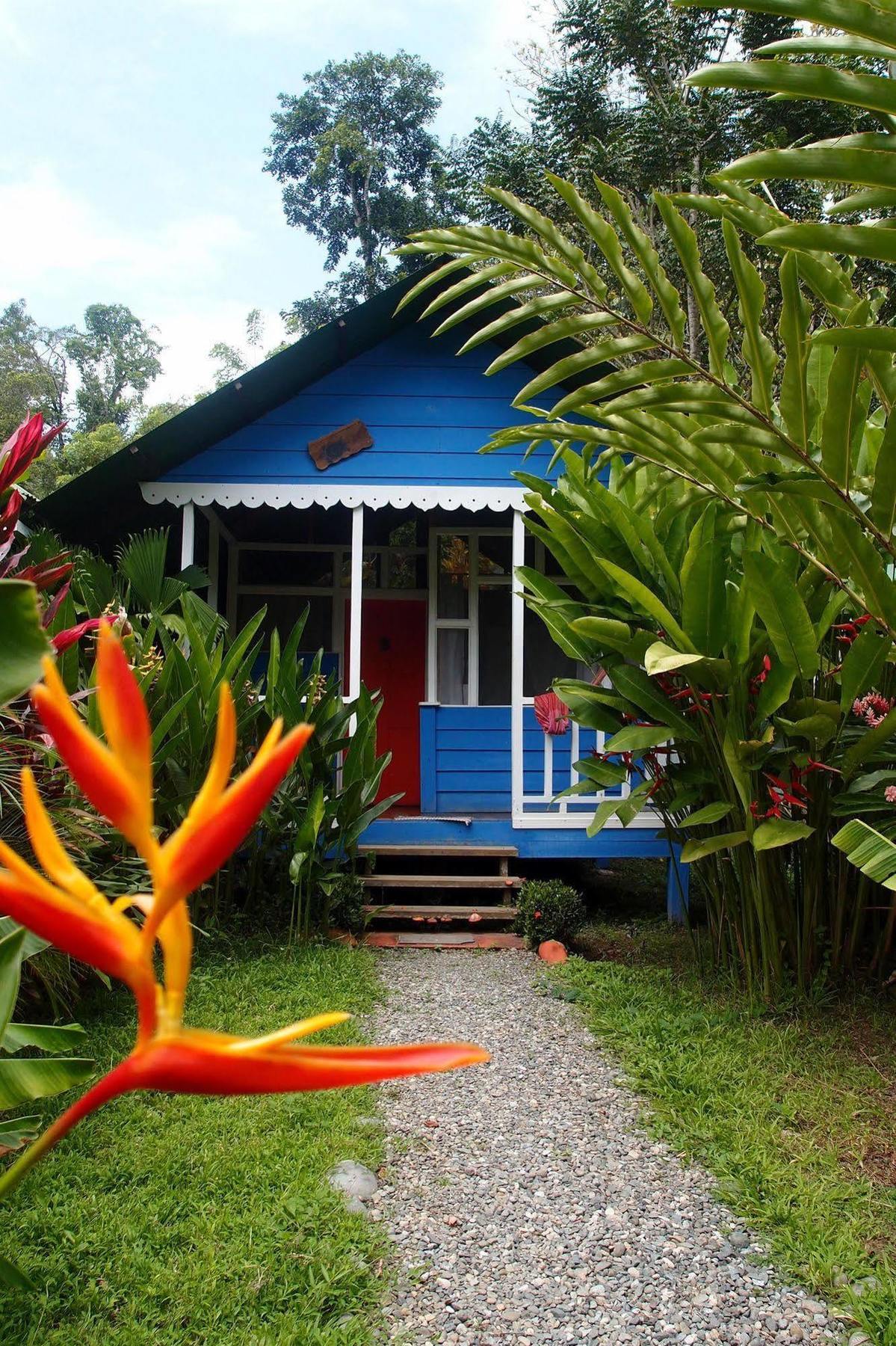 Puerto Viejo de Talamanca海上阳光旅馆别墅 外观 照片